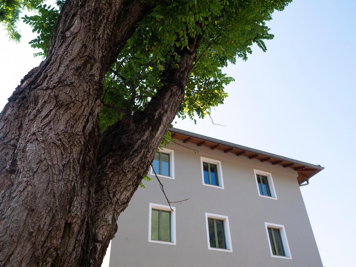 Innesti Rooms&Apartments - Le Camere Перджине-Вальсугана Экстерьер фото